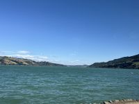 Otago-Halbinsel 