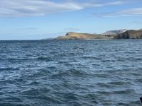 Otago-Halbinsel 