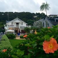 Paihia