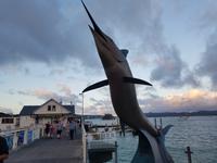 Paihia