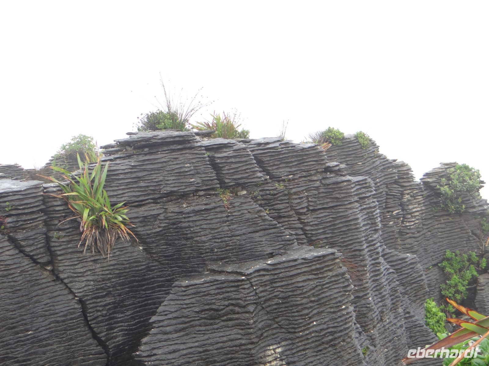 Pancake Rocks, so sehen sie aus.