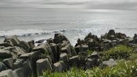 Pancake Rocks