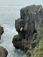 Pancakes Rocks 
