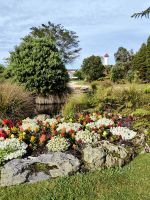 Park in Rotorua