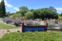 Park in Te Anau