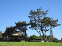 Pauanui