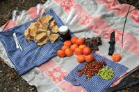 Picknick am See