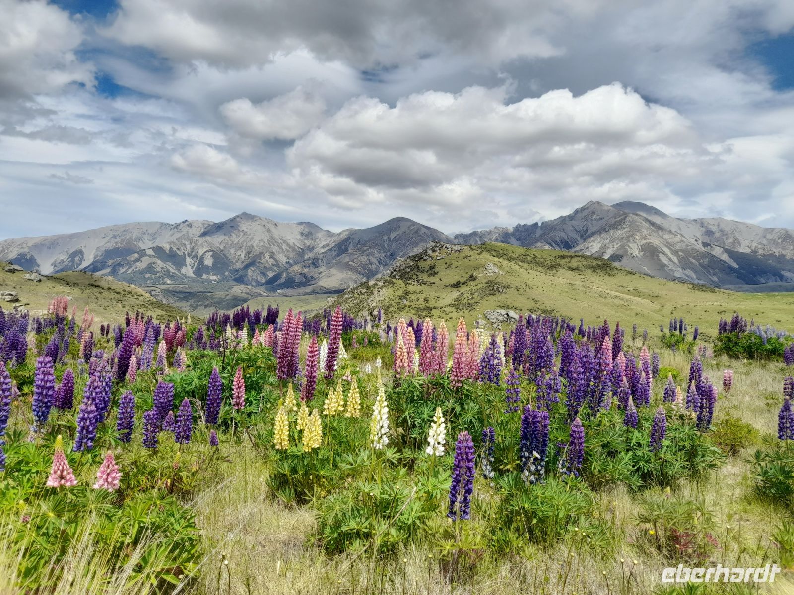 Porters Pass