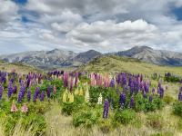 Porters Pass