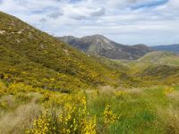 Porters Pass