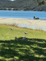 Pukenui 
