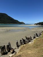Pukenui 