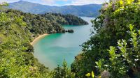 Queen Charlotte Sound 