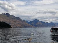 Queenstown