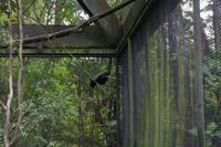 Rainbow Springs