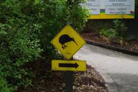 Rainbow Springs