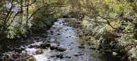 Rimo Walk in Ohakune, Tongariro Nationalpark