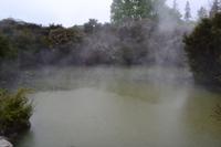 Rotorua - Heiße Quellen