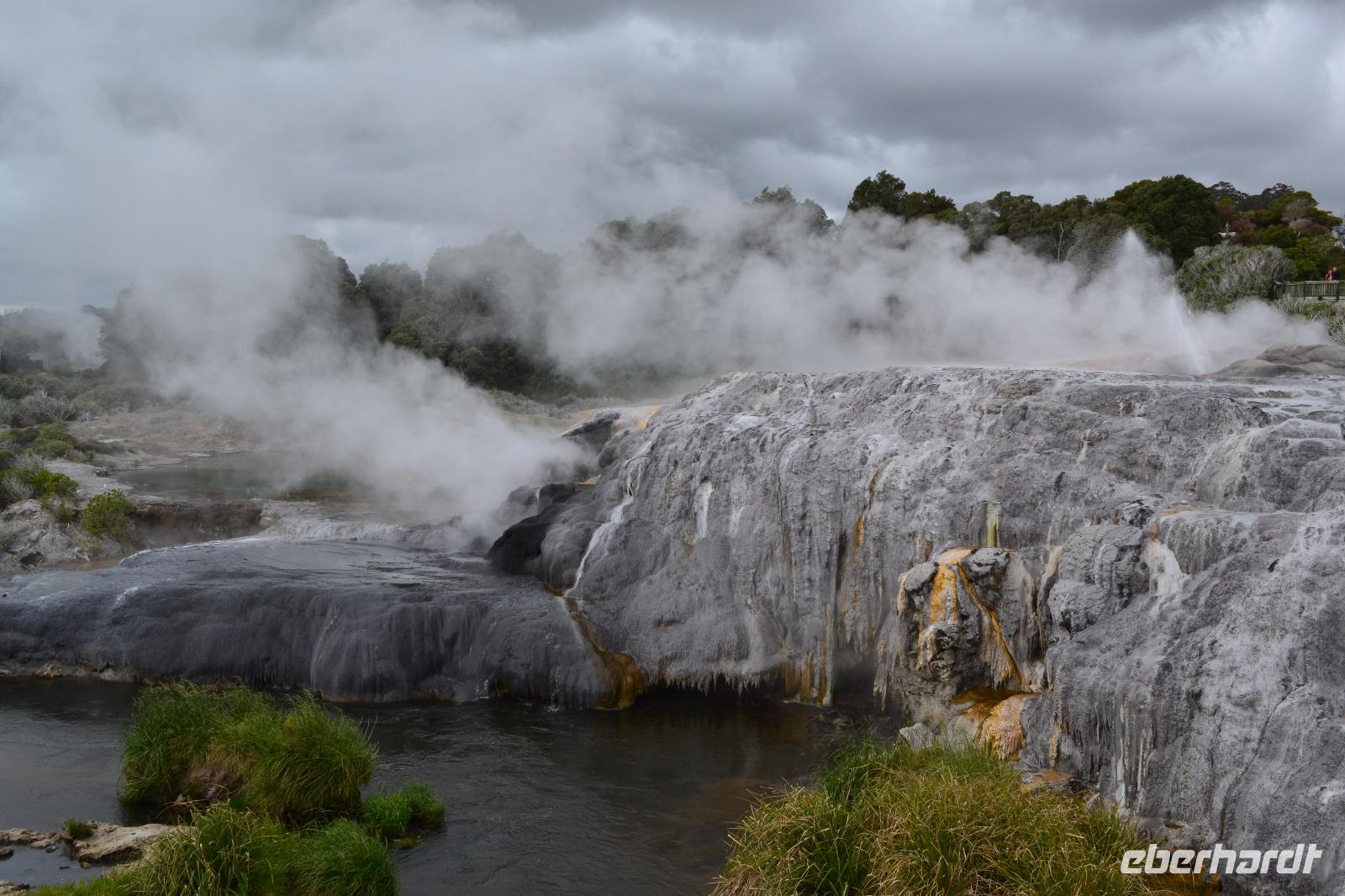 Rotorua - Te Puia - Geysire