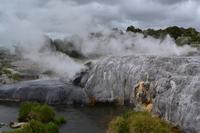 Rotorua - Te Puia - Geysire