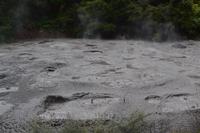 Rotorua - Te Puia - Heiße Schlammquellen