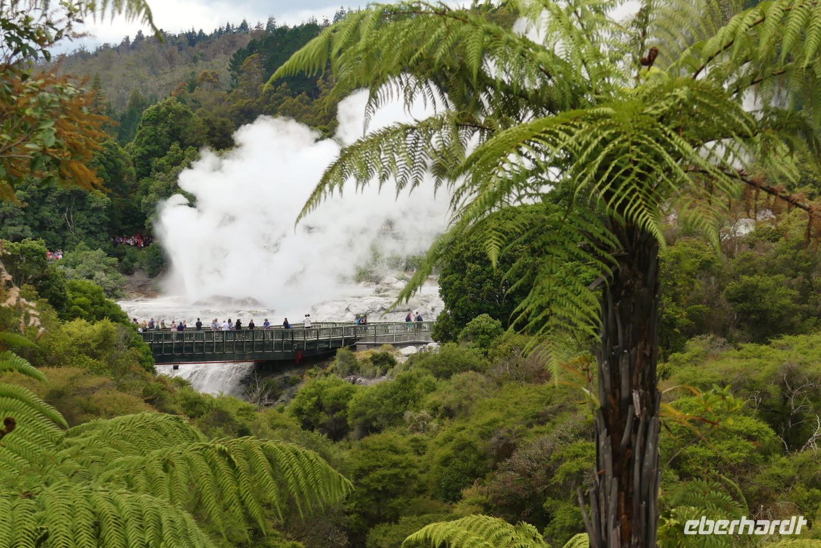 Rotorua