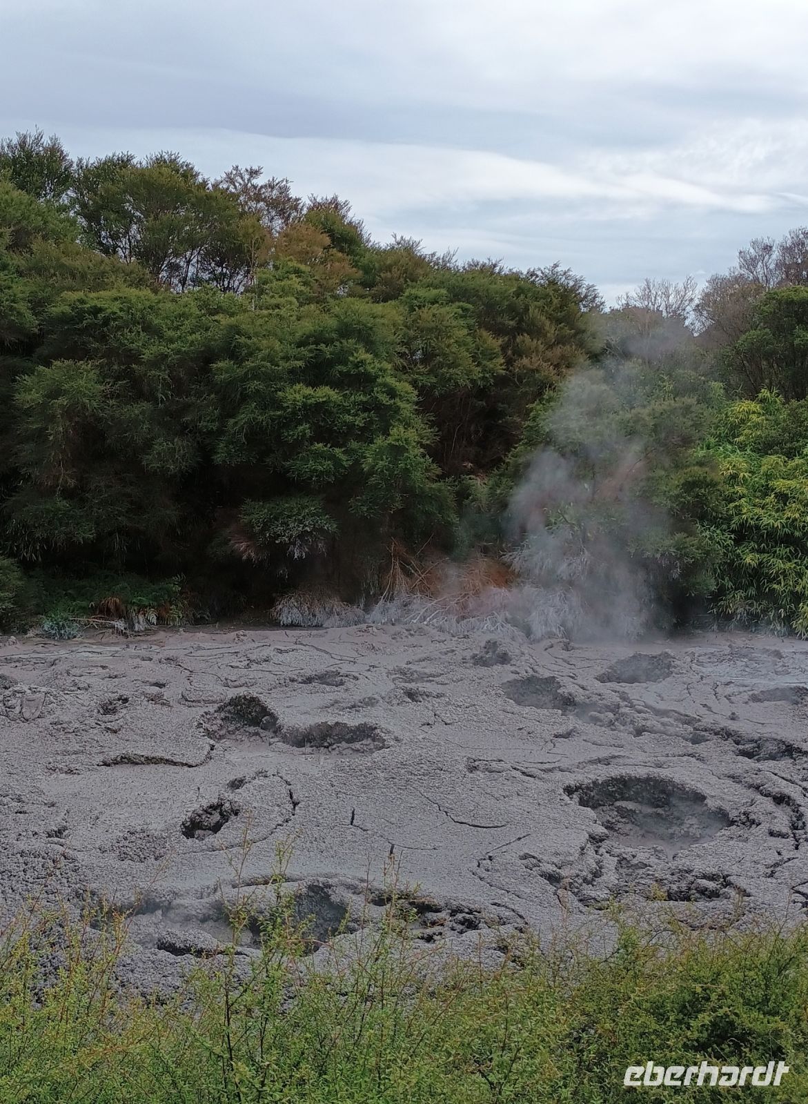 Rotorua