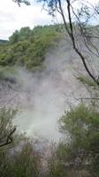 Rotorua