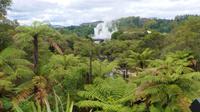 Rotorua