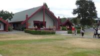Rotorua
