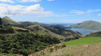 Rund um Dunedin