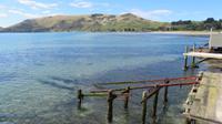 Rund um Dunedin