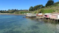 Rund um Dunedin