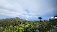Rundreise Neuseeland - Ausflug zum Cape Reinga