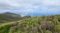 Rundreise Neuseeland - Ausflug zum Cape Reinga