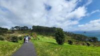 Rundreise Neuseeland - Ausflug zur Cathedral Cove
