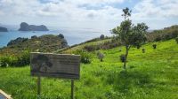 Rundreise Neuseeland - Ausflug zur Cathedral Cove