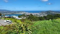 Rundreise Neuseeland - Aussicht auf Wellington