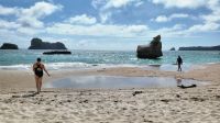 Rundreise Neuseeland - Baden am Cathedral Cove