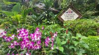 Rundreise Neuseeland - Botanischer Garten in Singapur