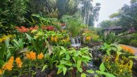 Rundreise Neuseeland - Botanischer Garten in Singapur