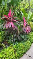Rundreise Neuseeland - Botanischer Garten in Singapur