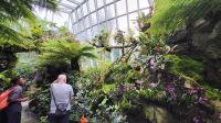 Rundreise Neuseeland - Botanischer Garten in Singapur
