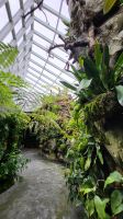 Rundreise Neuseeland - Botanischer Garten in Singapur