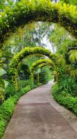 Rundreise Neuseeland - Botanischer Garten in Singapur