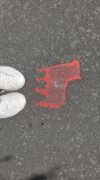 Rundreise Neuseeland - Bulls