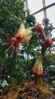 Rundreise Neuseeland - Cloud Forest Dome im Gardens by the Bay in Singapur