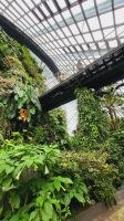 Rundreise Neuseeland - Cloud Forest Dome im Gardens by the Bay in Singapur