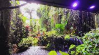 Rundreise Neuseeland - Cloud Forest Dome im Gardens by the Bay in Singapur