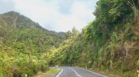 Rundreise Neuseeland - Coromandel-Halbinsel